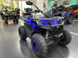 Квадроцикл IRIDE 125 MINI ROVER (сборочный комплект)