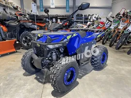  Iride ROVER Mini 125
