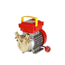 Электрический насос ROVER 20 CE