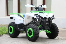Комплект запчастей IRIDE 200 ROVER