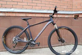 Ride rover pioneer b.orange