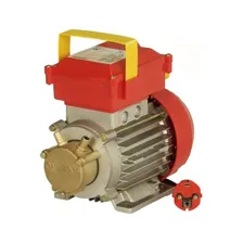 Насос для перекачки масла ROVER POMPE ВЕ G20 HP0.6
