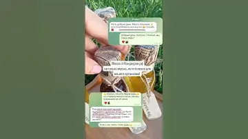 Больше информации о маслах на нашем канале! Подпишитесь, рады Вам. 🌸